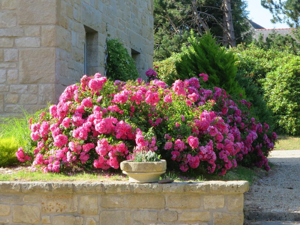 Kerblondel Bed & Breakfast Plouezoc'h Exterior photo